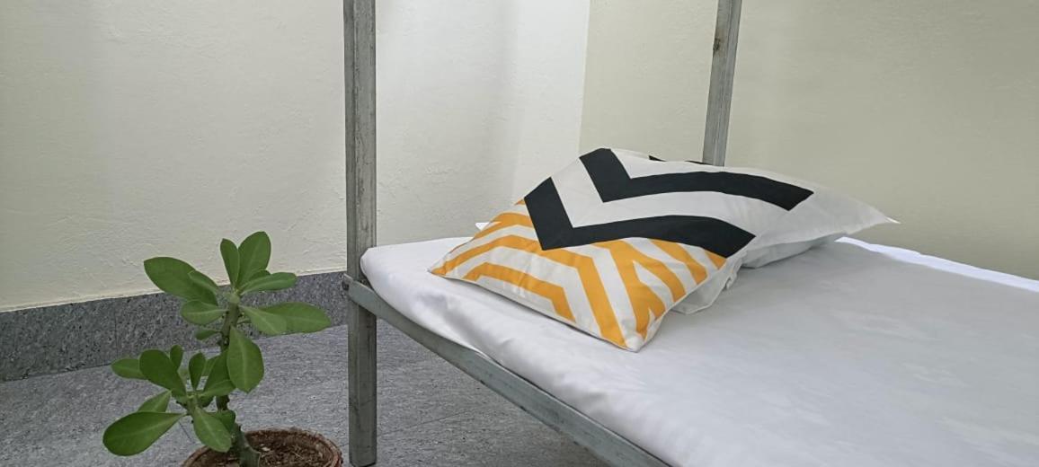 Rājgīr Nikunj Dorme 호스텔 외부 사진